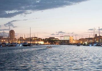 Meilleurs Vétérinaires à Marseille