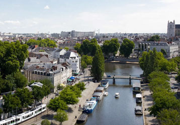 Meilleurs Vétérinaires à Nantes