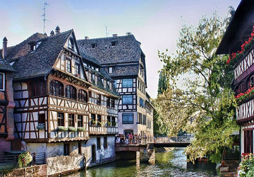 Meilleurs Vétérinaires à Strasbourg