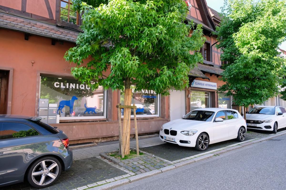 Vétérinaire Lauterbourg