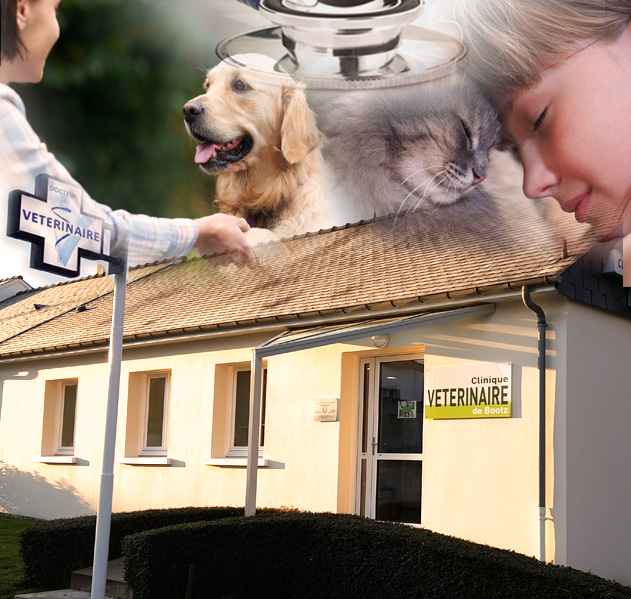 Clinique Vétérinaire de Bootz - Laval