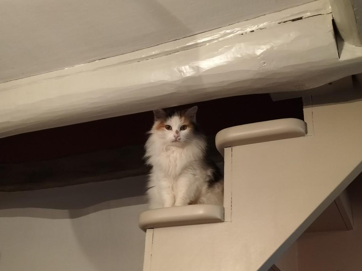 Coissieux Heide uniquement sur rendez-vous