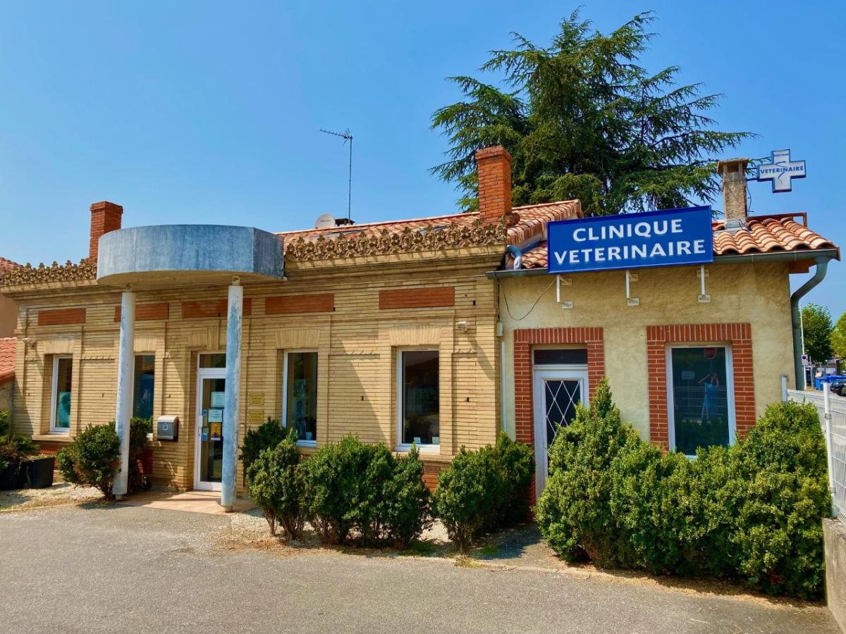 Clinique vétérinaire des Açores