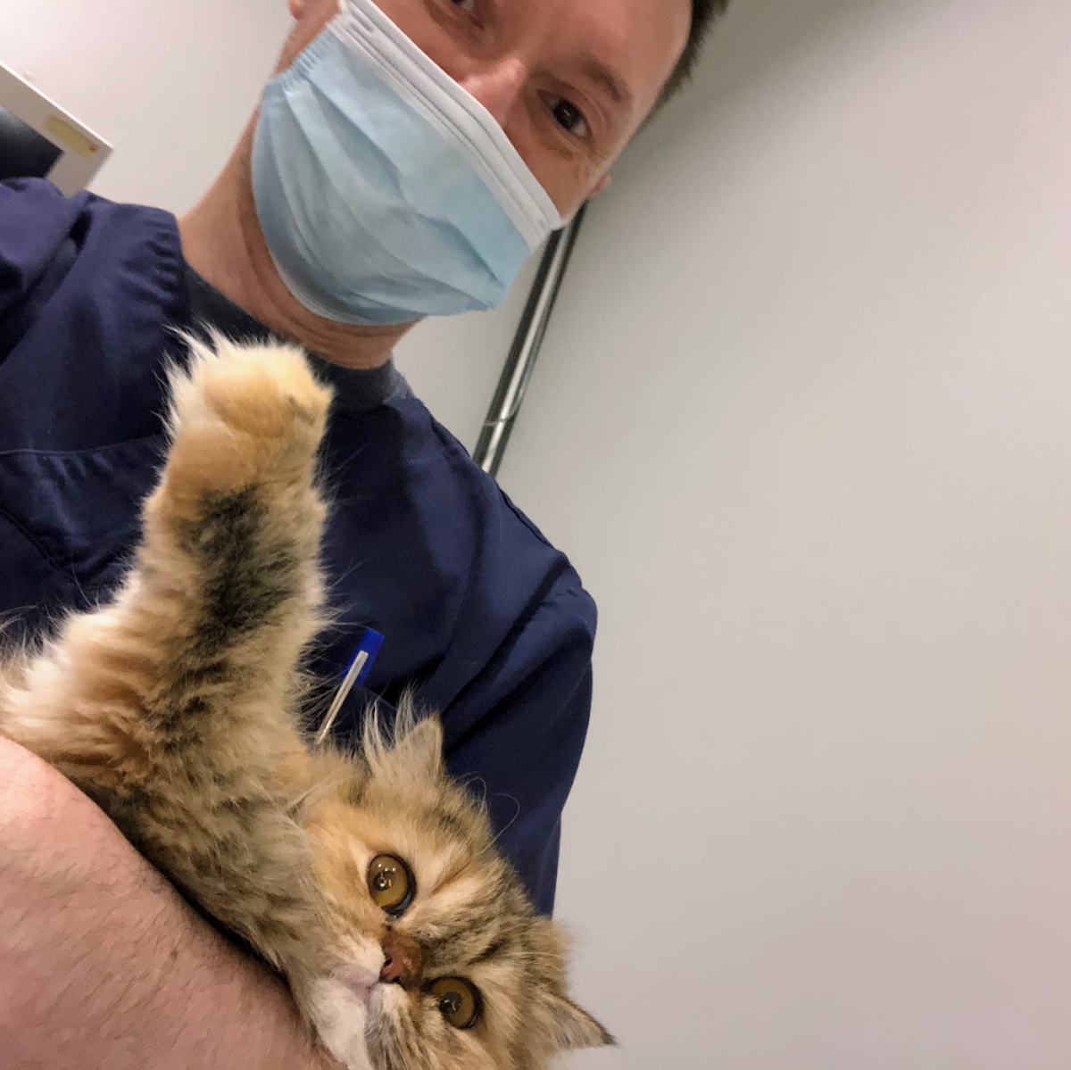 Cabinet Vétérinaire des Arcades