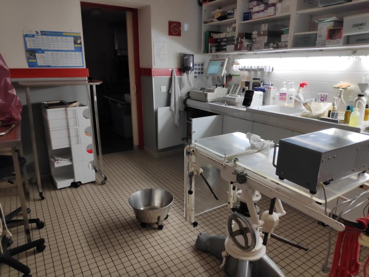 XAVIER COMBELLES Dr VETERINAIRE