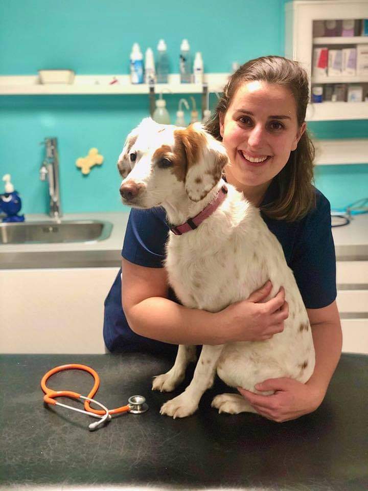 Clinique Vétérinaire CLINICAZUR Dr M.Helsen Dr L.Bernard Dr R.Chaar