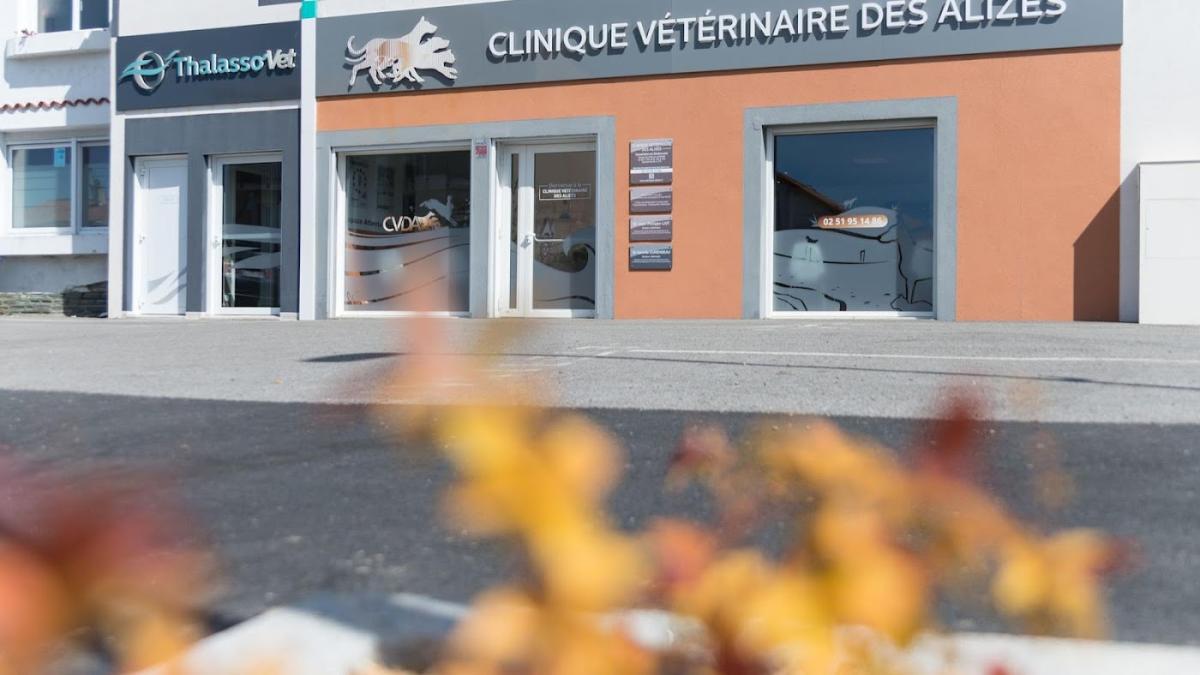Clinique Vétérinaire Des Alizés