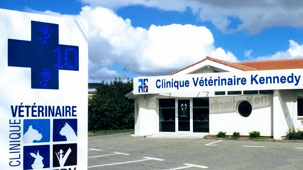 Clinique vétérinaire KENNEDY - Grenade, Grenade s/Garonne
