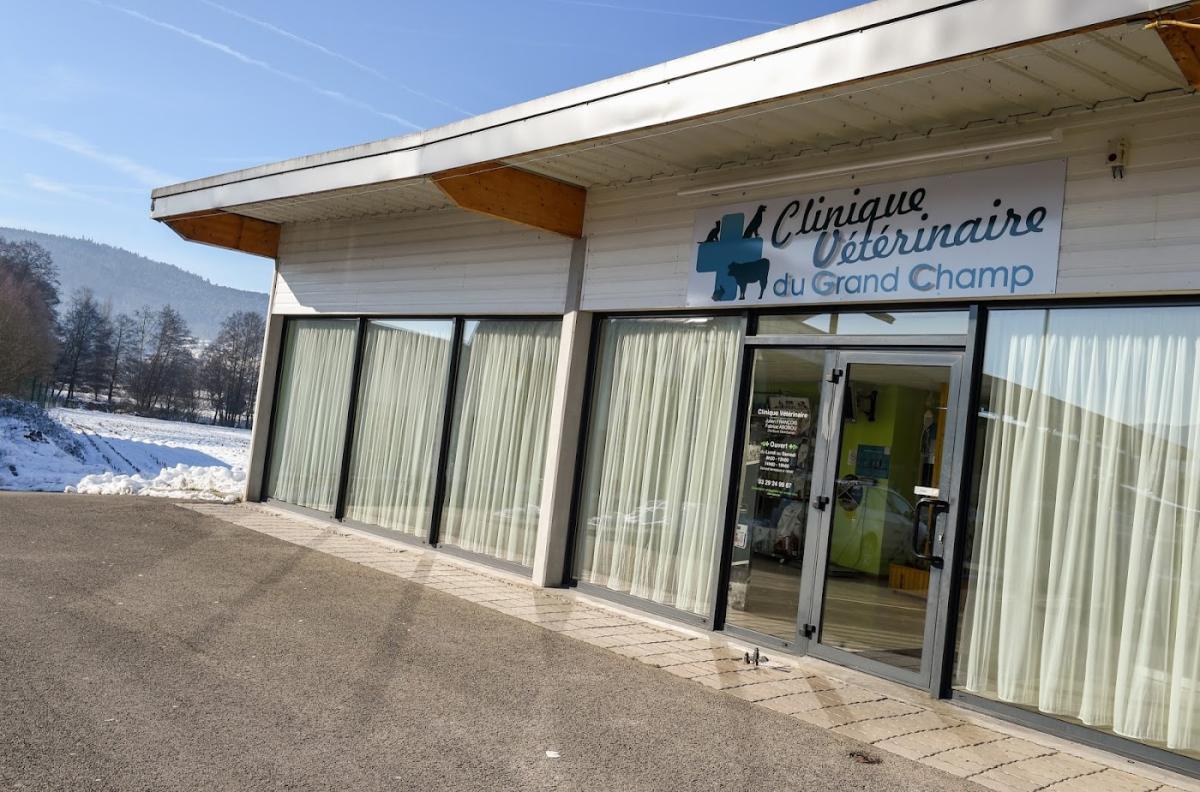 Clinique vétérinaire du Grand Champ à Vagney