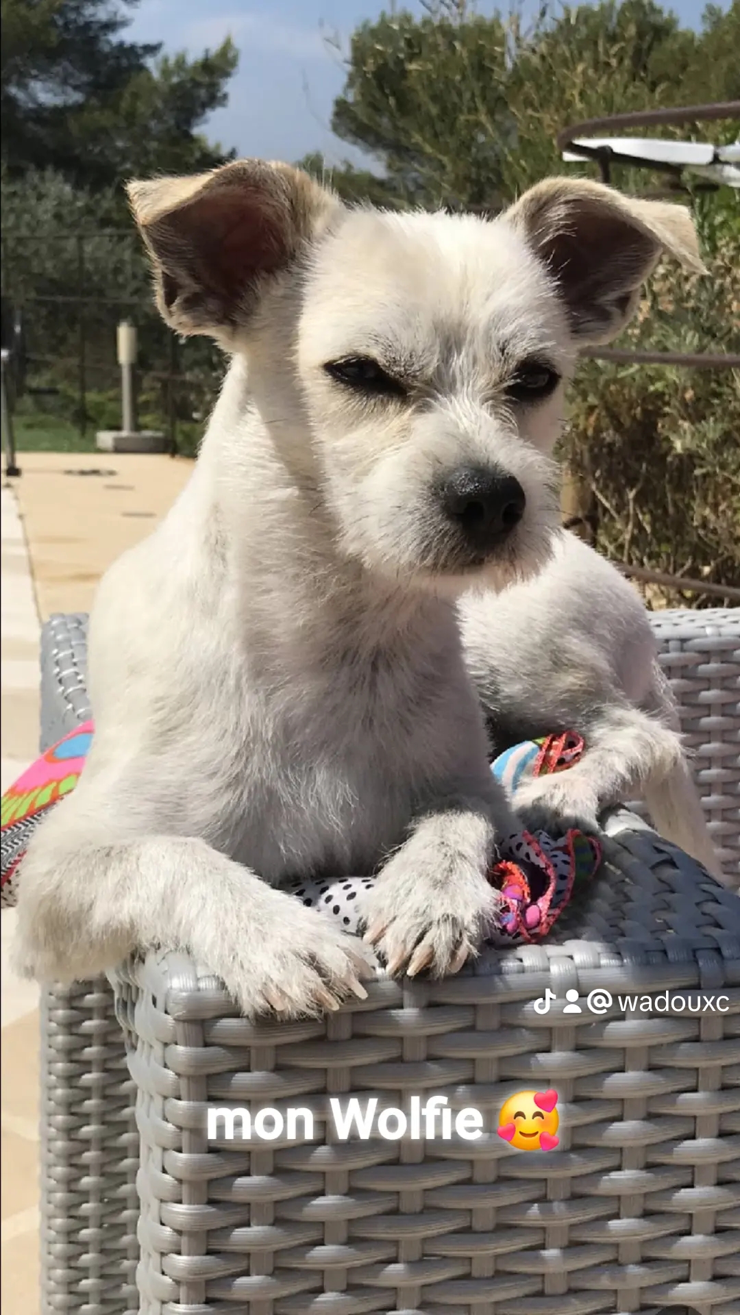 Docteurs Flocher Duguès