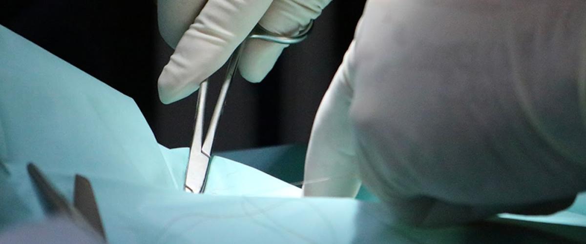 Urgences Vétérinaires DELTA83