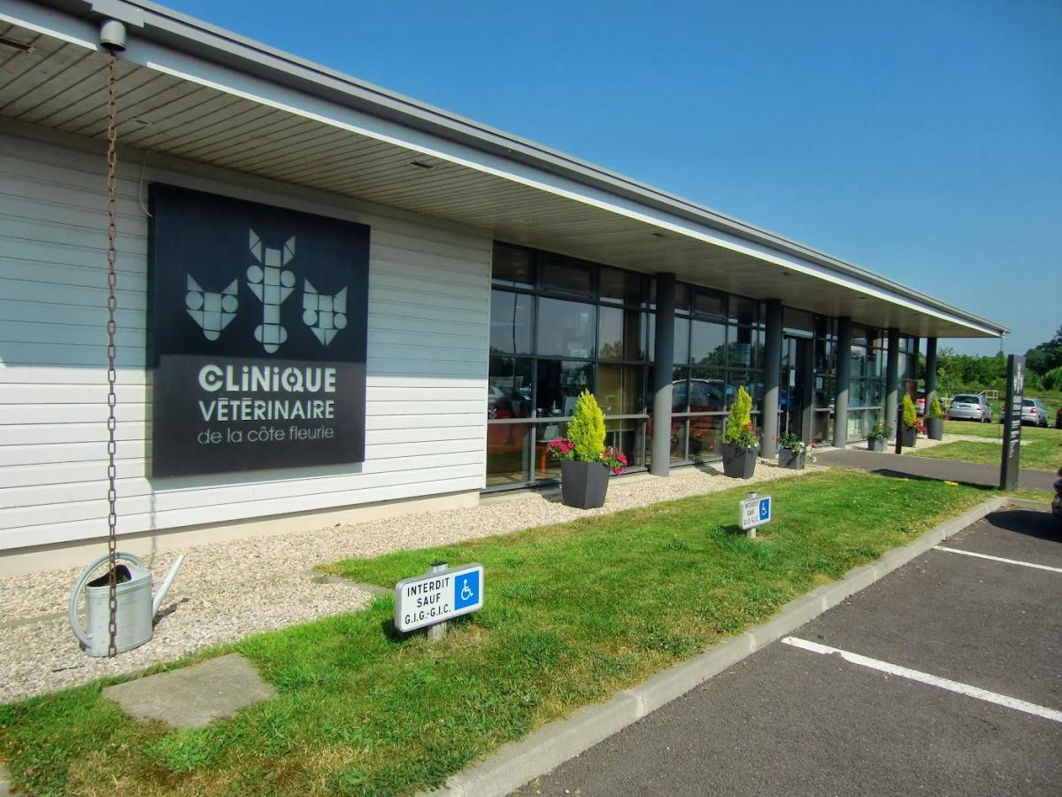 Clinique Vétérinaire de la Côte Fleurie