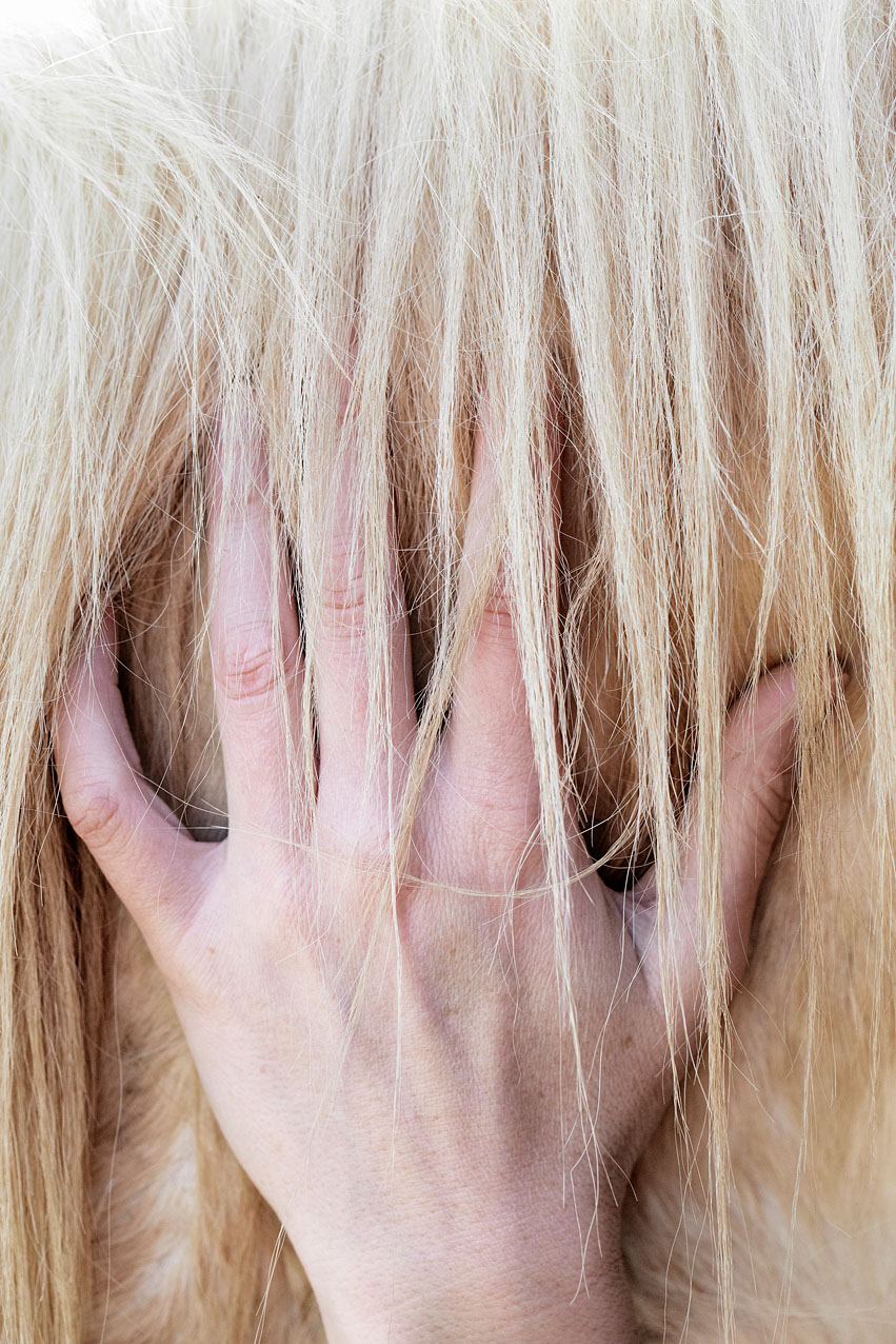 Cabinet d'ostéopathie vétérinaire