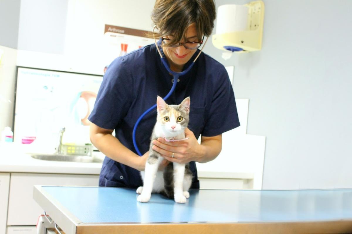 Clinique Vétérinaires de la Bastide - Morlaàs