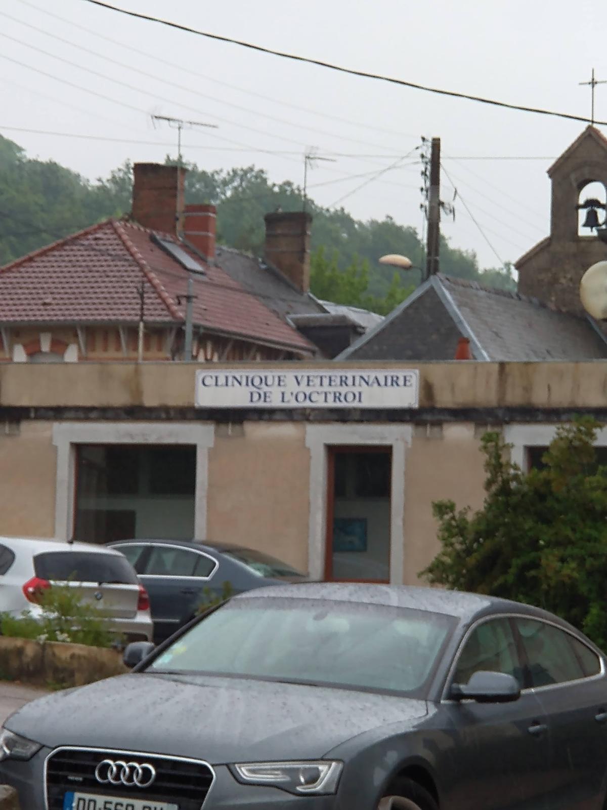 Clinique Vétérinaire de l'Octroi - Vétérinaire à Laon