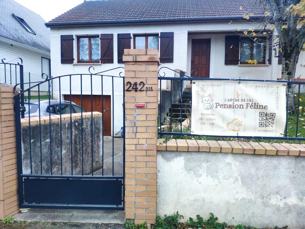 Pension chats Bourges - L'Arche de Lili - Vétérinaire à Bourges