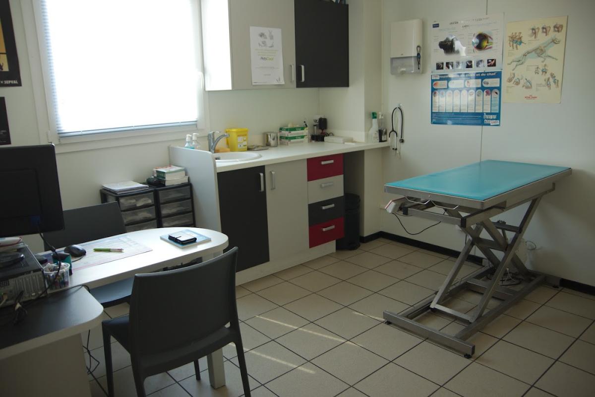 Clinique Vétérinaire des Galliennes - Vétérinaire à Montoire-sur-le-Loir