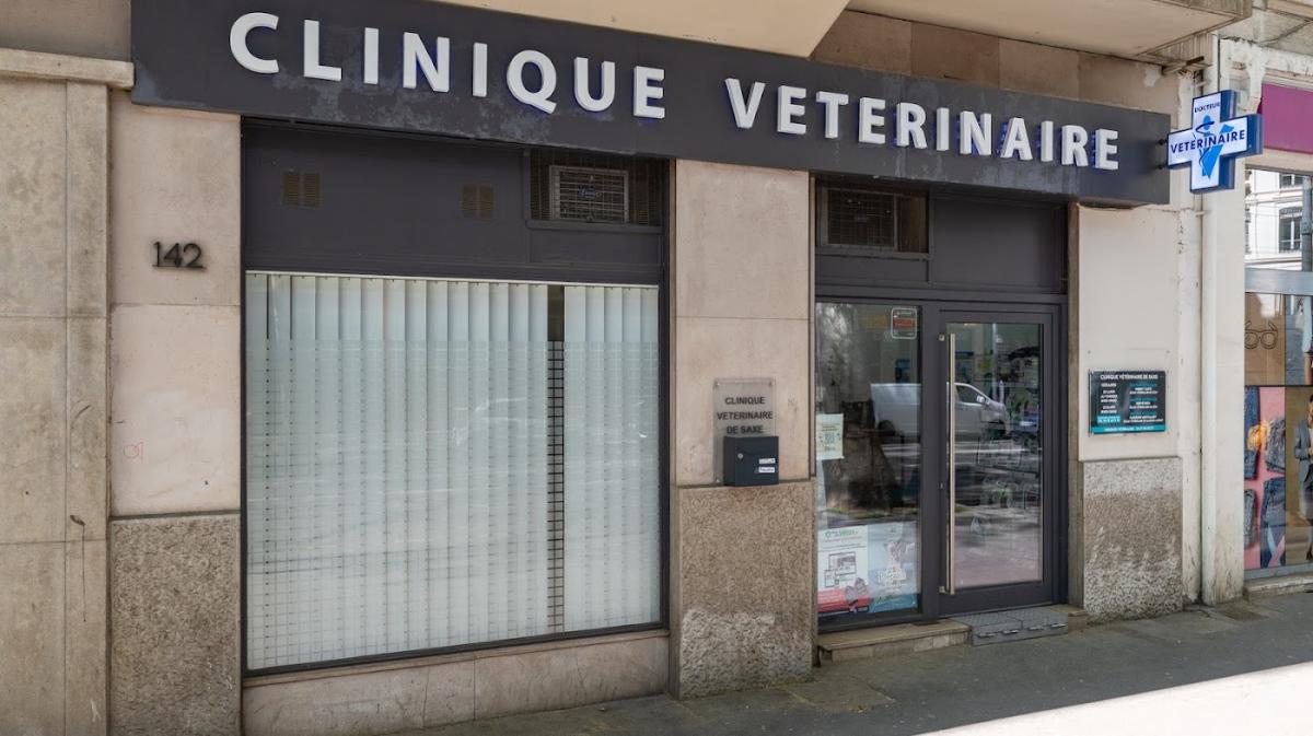 Mon Véto Lyon SAXE - Vétérinaire à Lyon