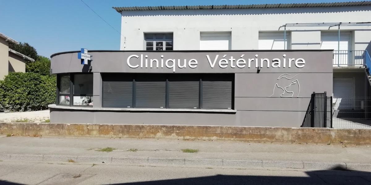 Clinique vétérinaire de la ruche - Anneyron - Sevetys - Vétérinaire à Anneyron