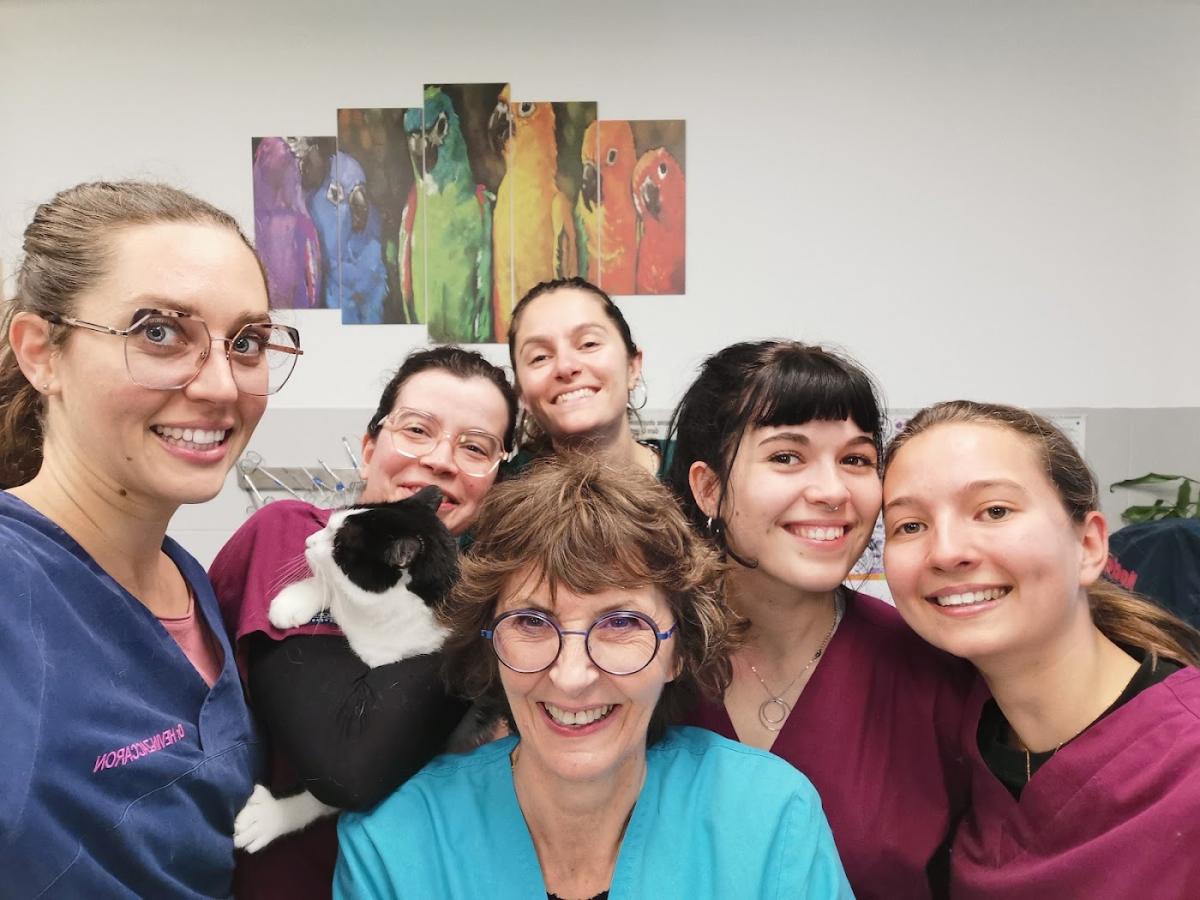 Clinique Vétérinaire St Gilles - Vétérinaire à La Salvetat-Saint-Gilles