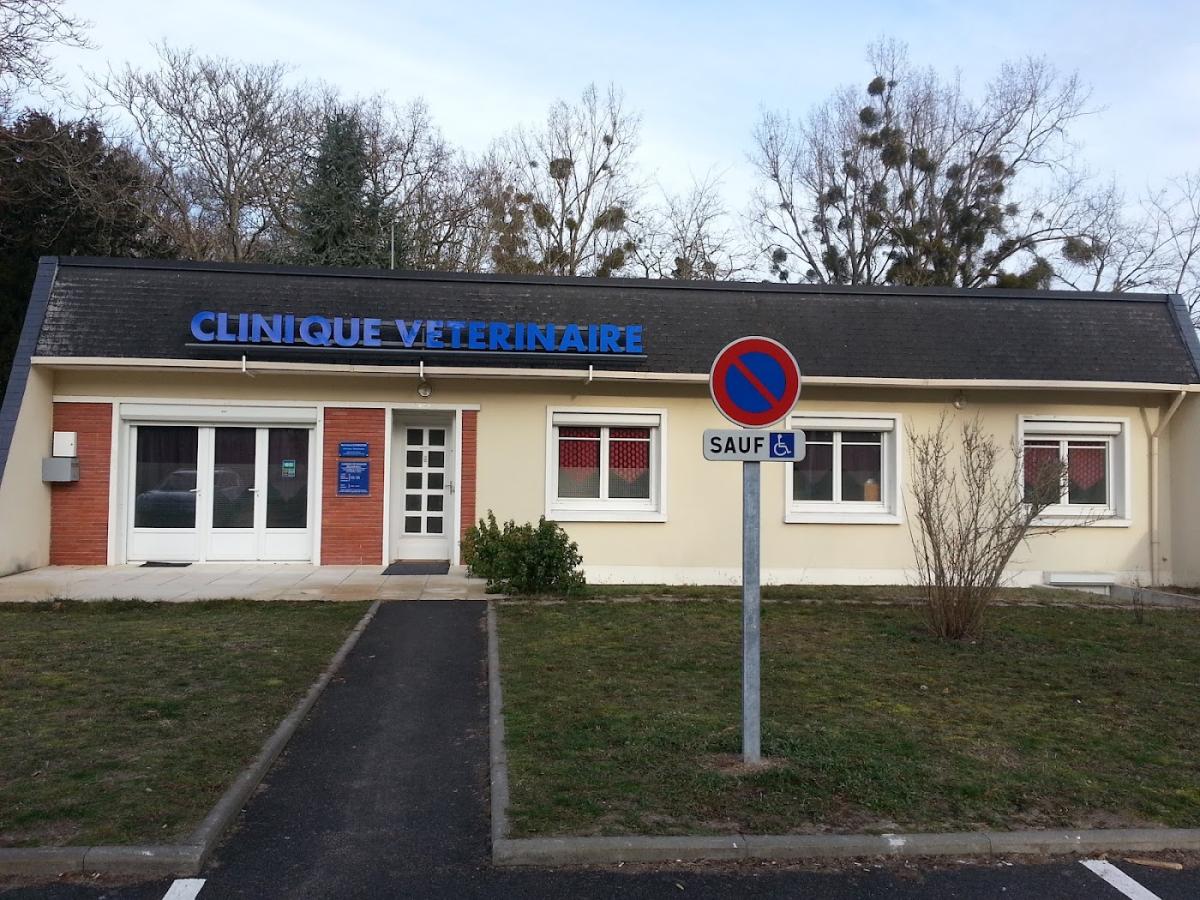 Clinique du Château Dr Atemezem Bertrand - Vétérinaire à Romorantin-Lanthenay