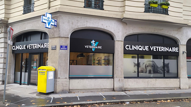 Mon Véto Lyon Brotteaux