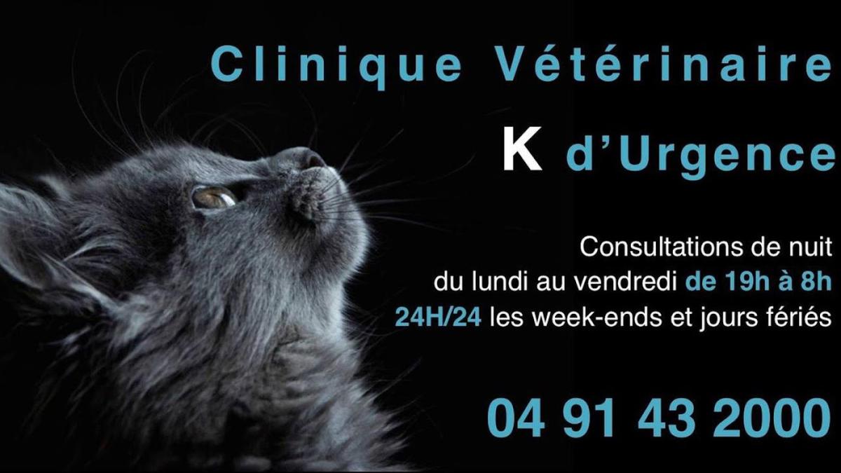 Clinique Vétérinaire K d´Urgence