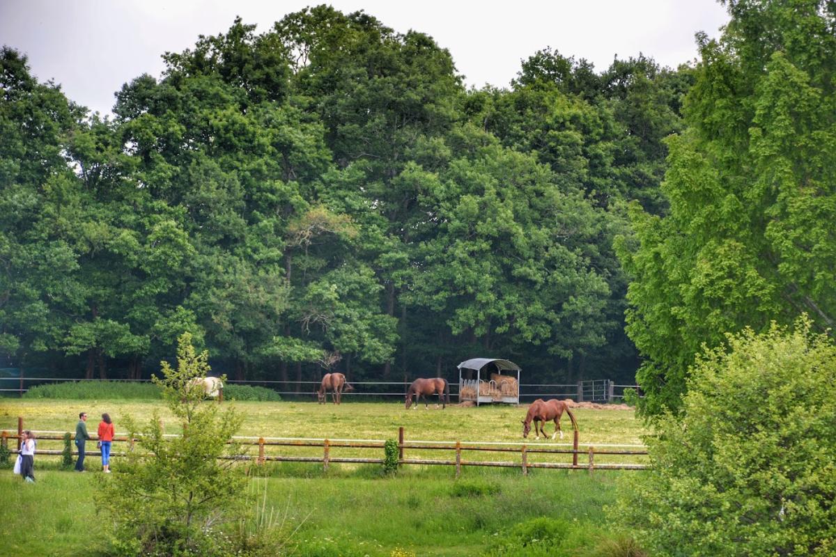 Centre Vétérinaire de la Faune Sauvage et des Écosystèmes