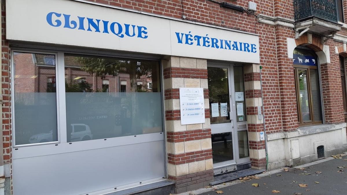 Clinique vétérinaire Animaloos Drs Joseph - Verrier - Ceuleers et Lapersonne