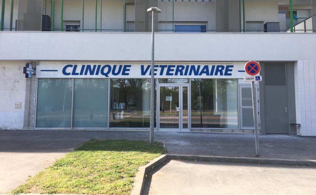Clinique Vétérinaire du Grand Paris Orly - NAC - scanner vétérinaire