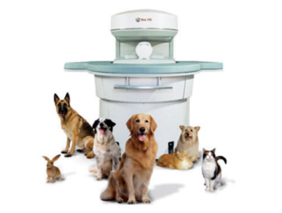 CIRMA Centre d'Imagerie pour Animaux