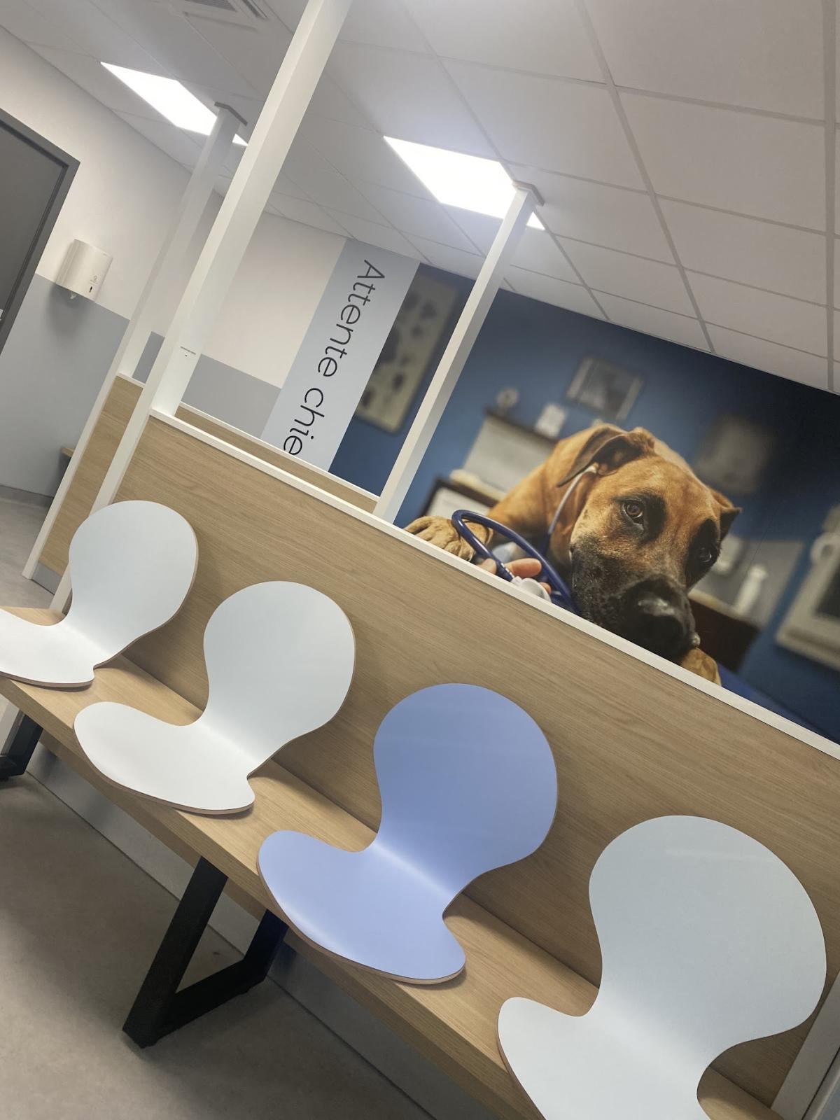 Vet-Urgentys EST | Urgence Vétérinaire de Garde Toulouse
