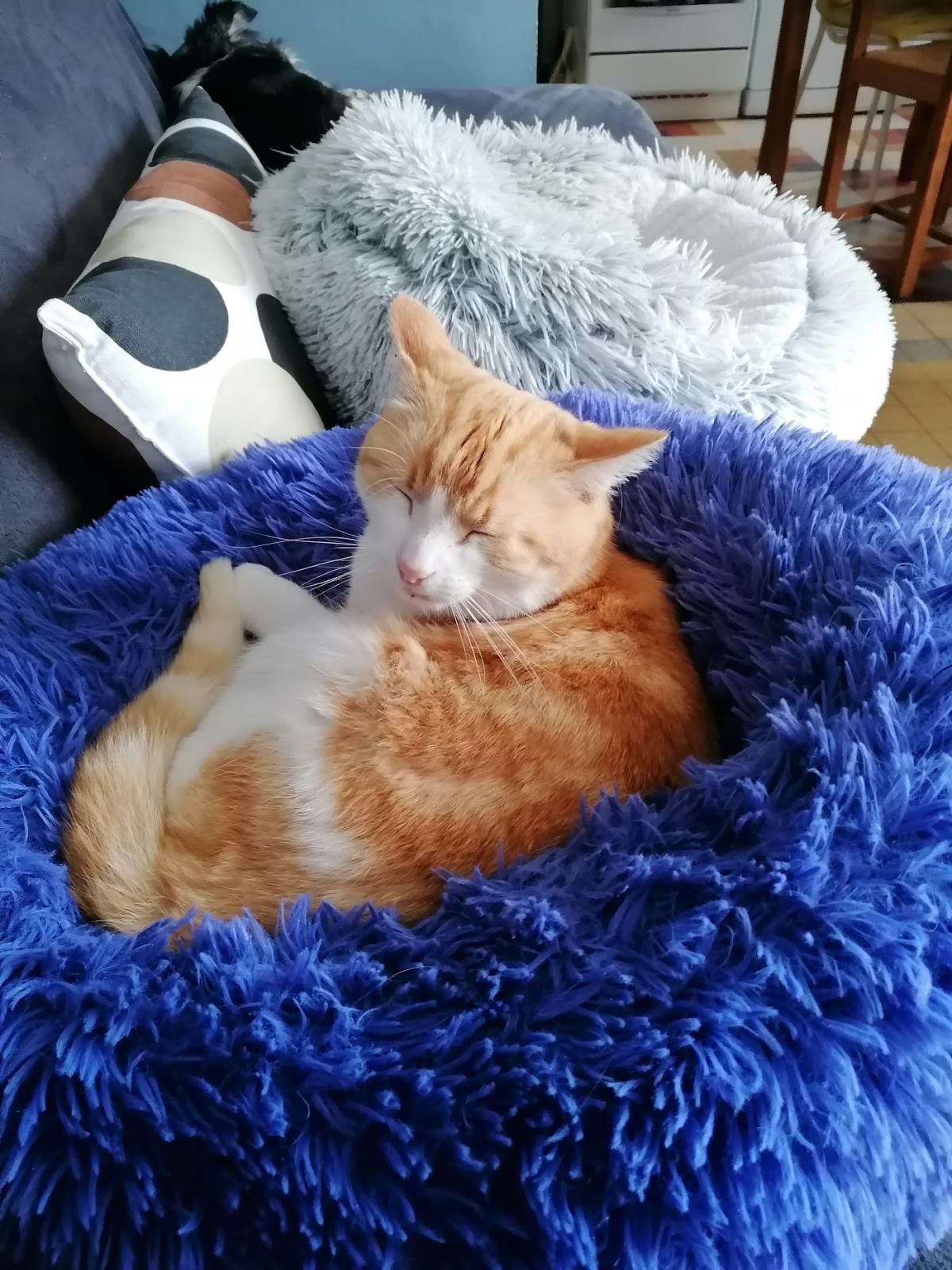 Clinique Vétérinaire des Docteurs Bompy Pilorge