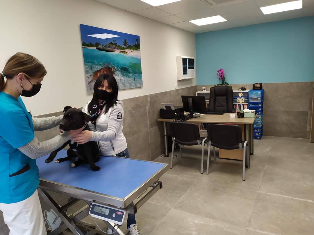 Clinique vétérinaire du Soleil