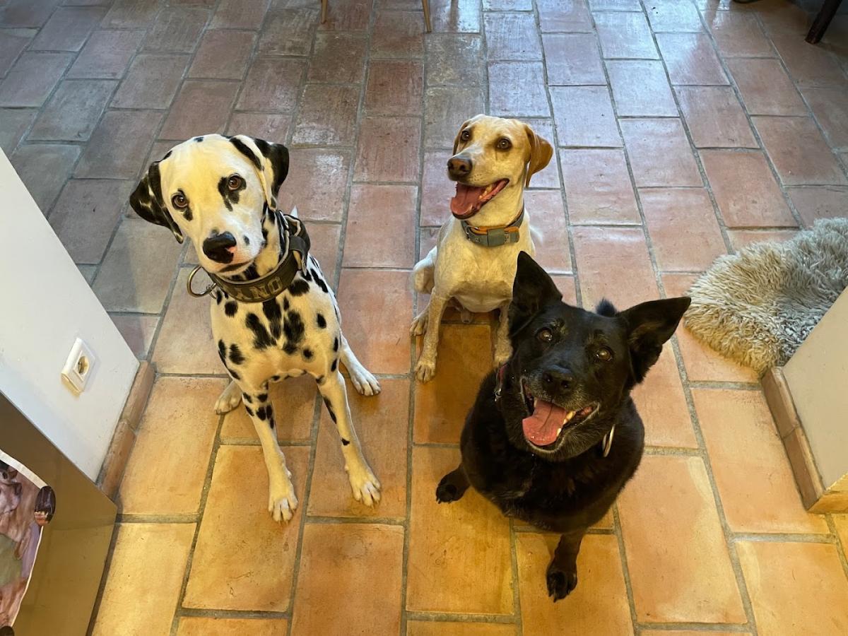 Mon Véto Roquevaire