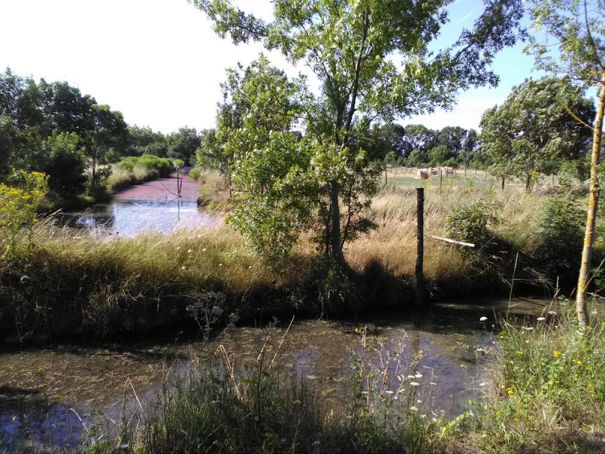 Clinique Vétérinaire des Pêcheurs d'Islande