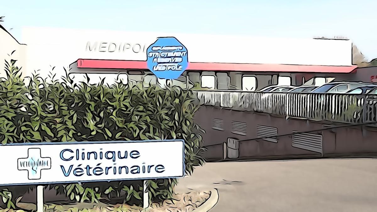 Clinique vétérinaire Medivet