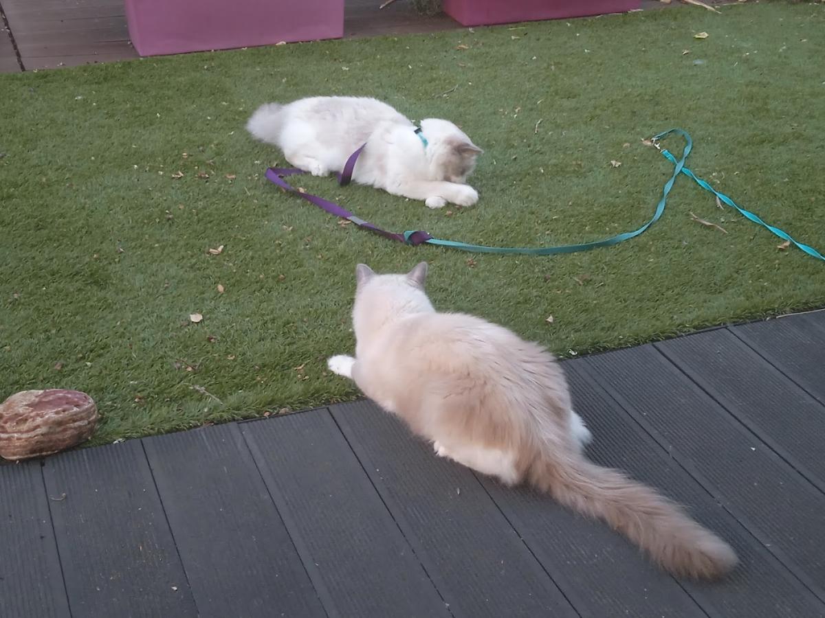 Nouhaud Jean-Jacques et Toussaint Françoise SCP