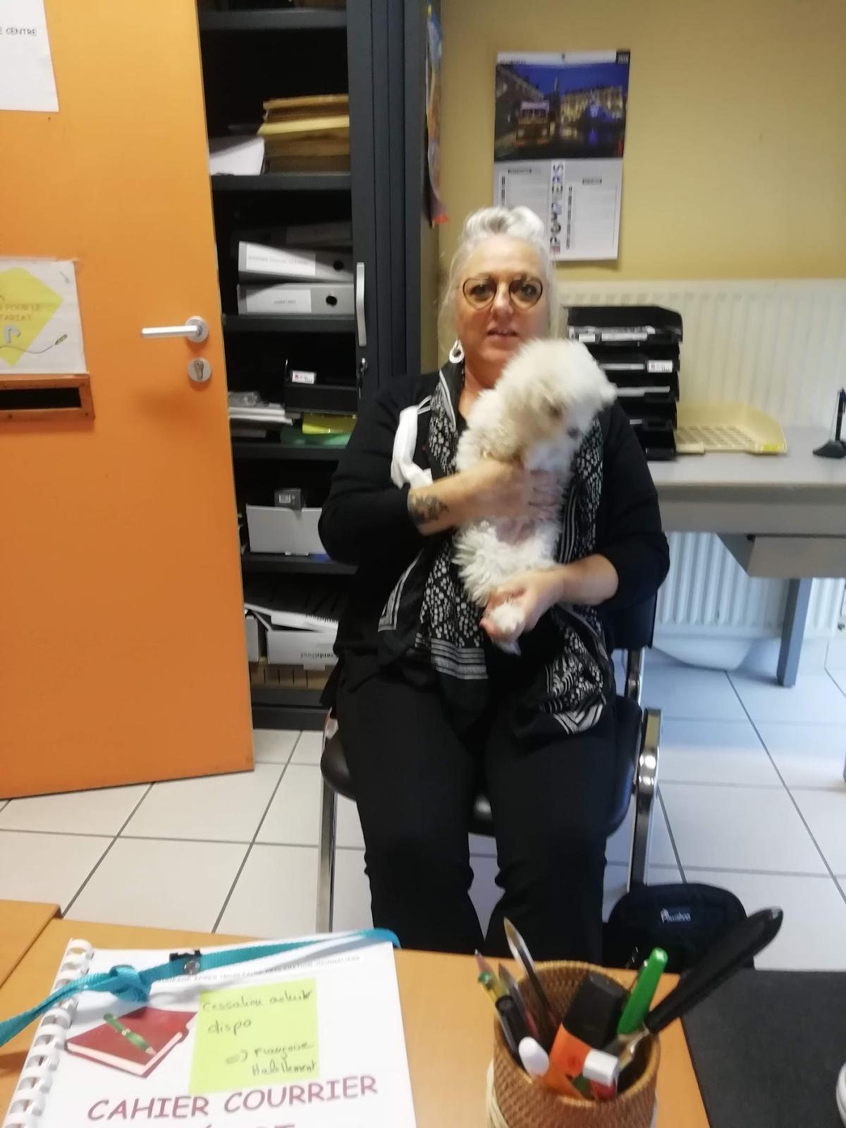 Cabinet vétérinaire Catpatdog du Dr Lisner Pascal à Le Pellerin