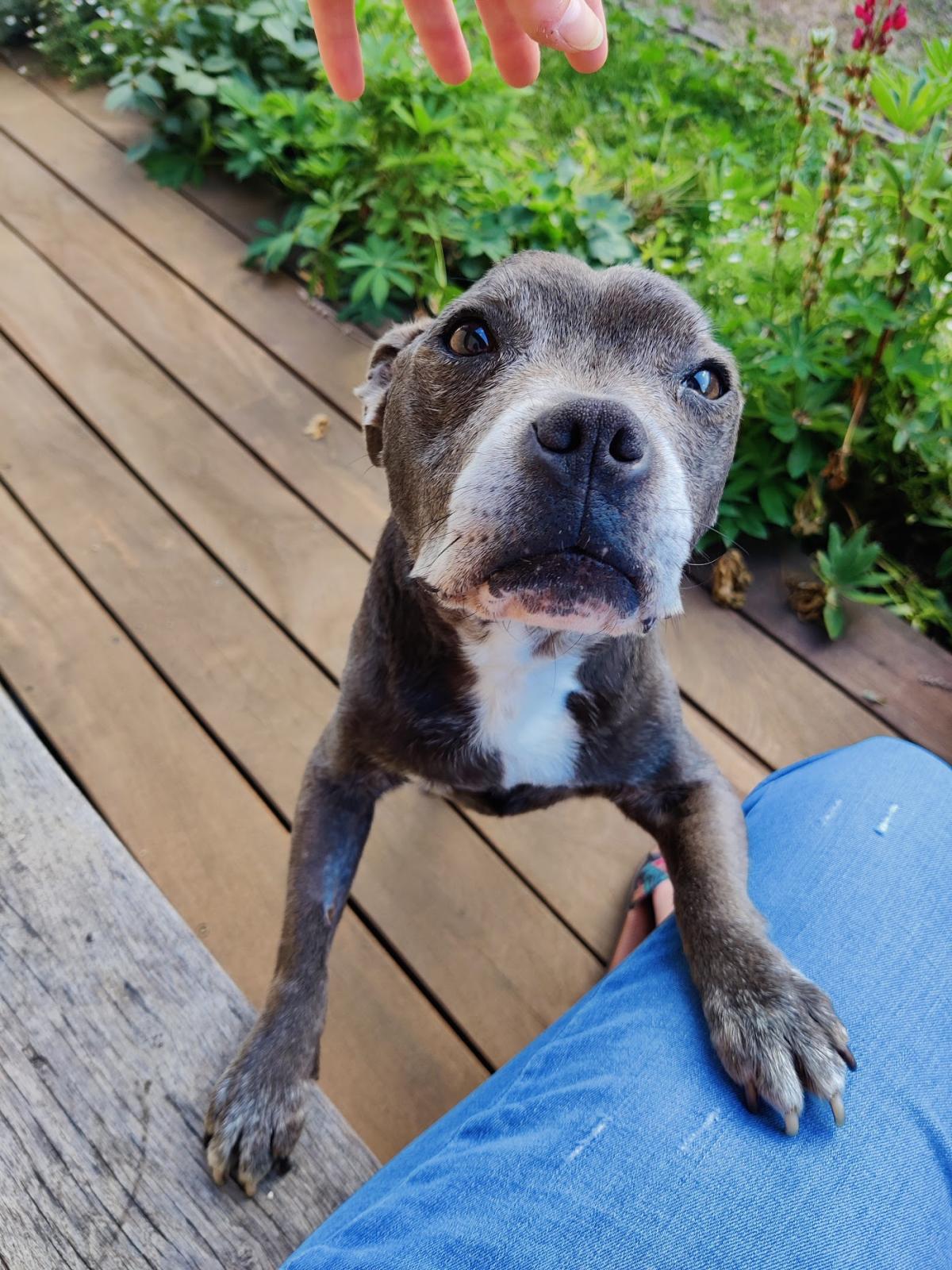 Clinique Vétérinaire des Bertranges