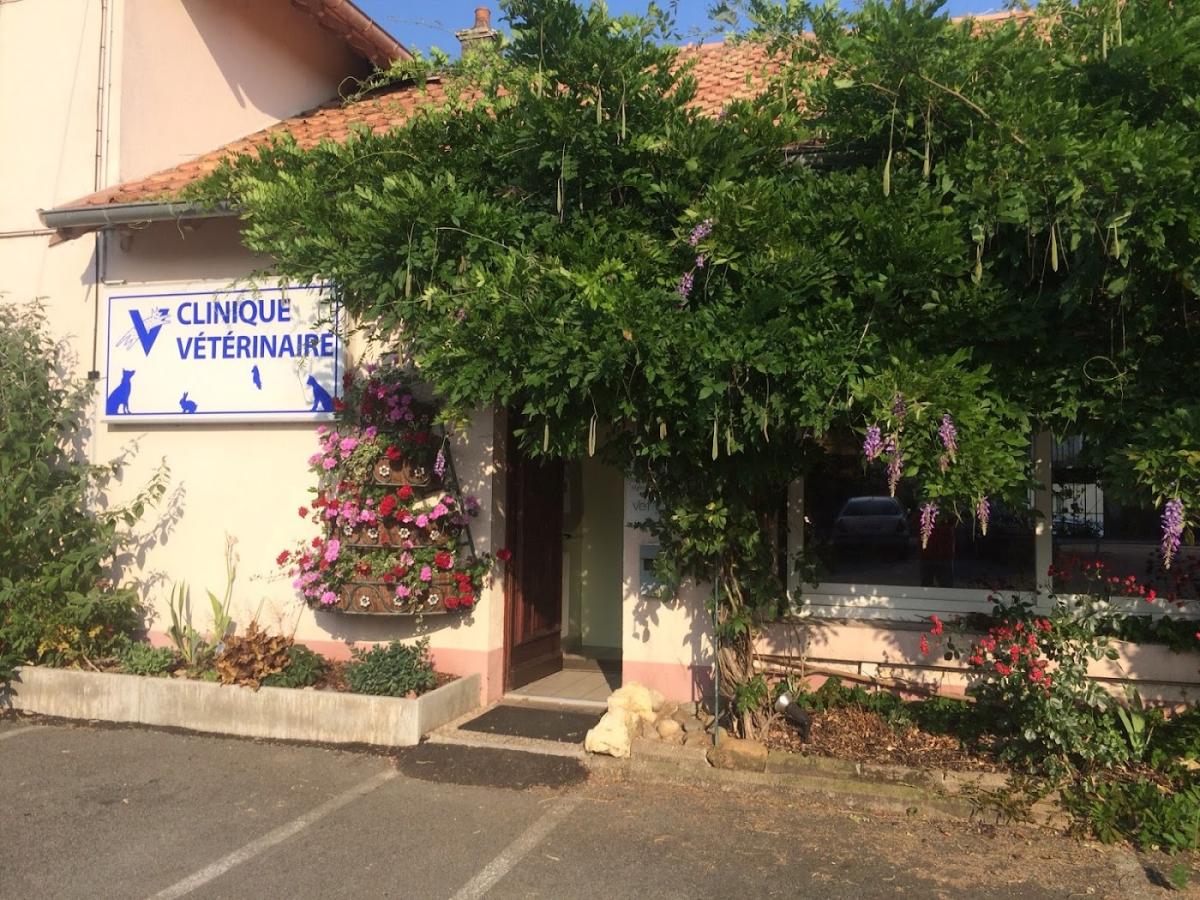 Clinique Vétérinaire Delsaut