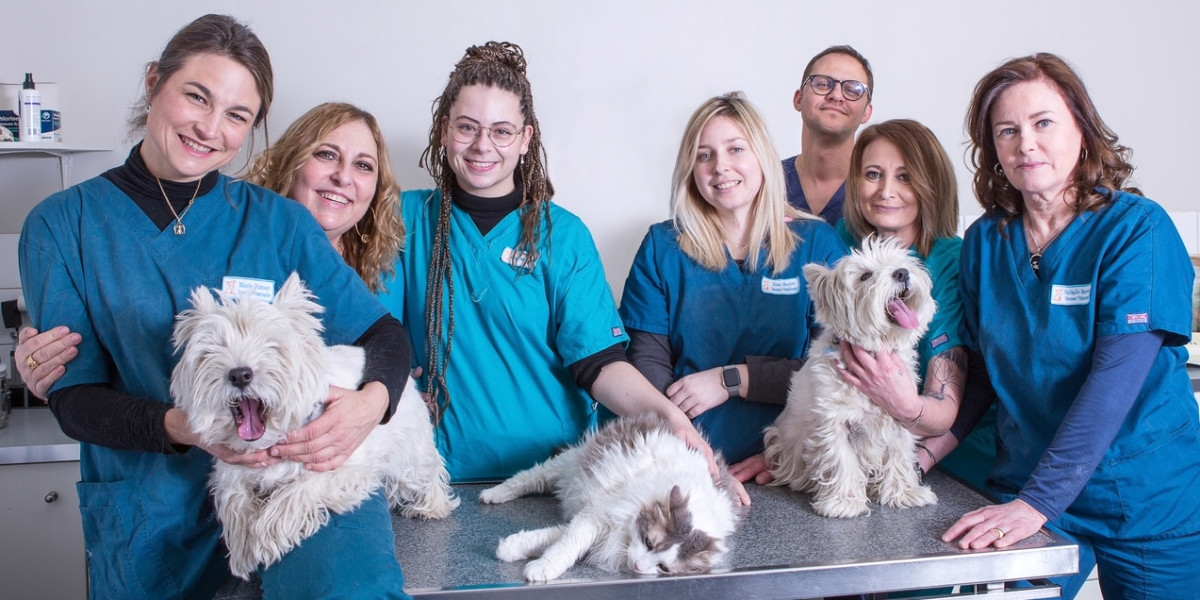 Clinique Vétérinaire Mirabeau