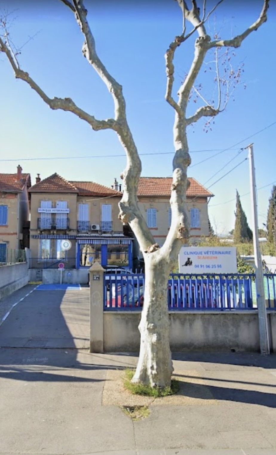 Clinique vétérinaire Saint-Antoine