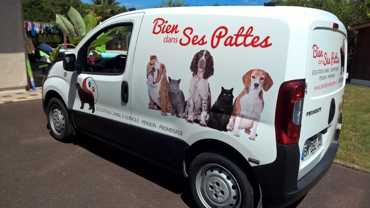 Bien dans ses pattes