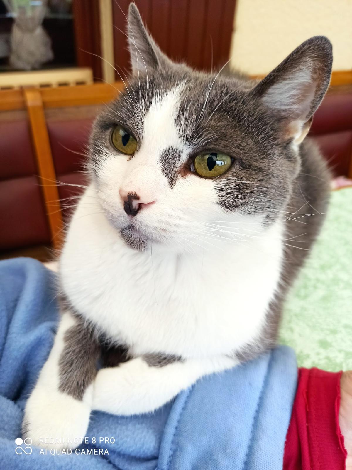 Le Carré Vétérinaire