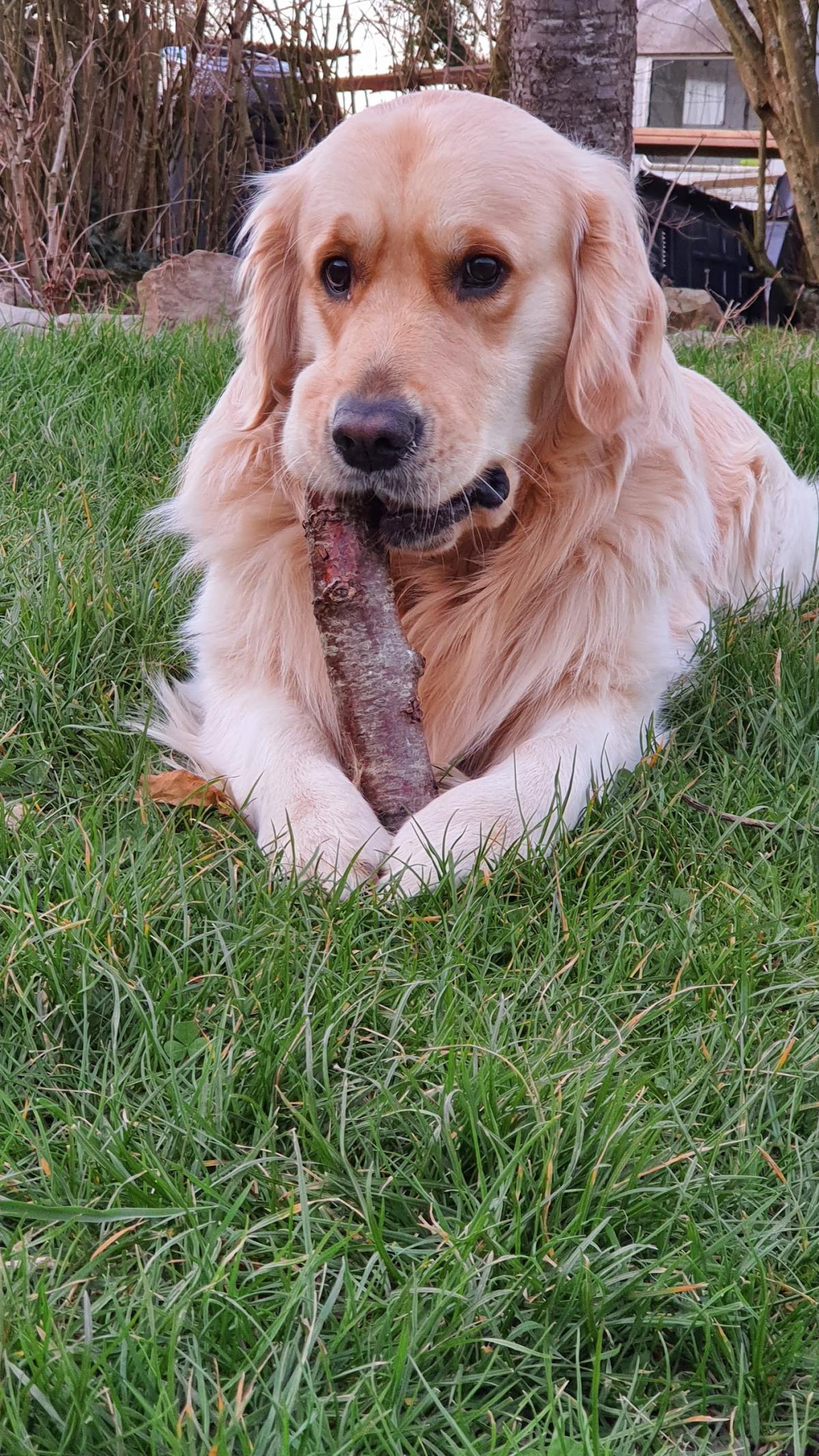 Cabinet Docteur Neel Eric