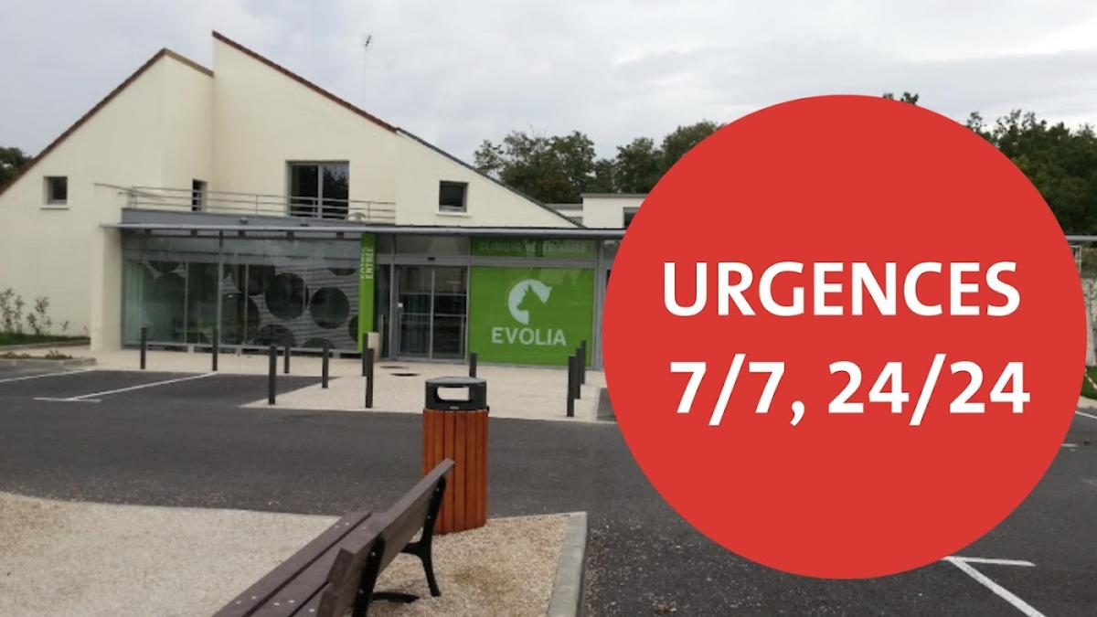Clinique vétérinaire Evolia - Urgences 24/24 7/7