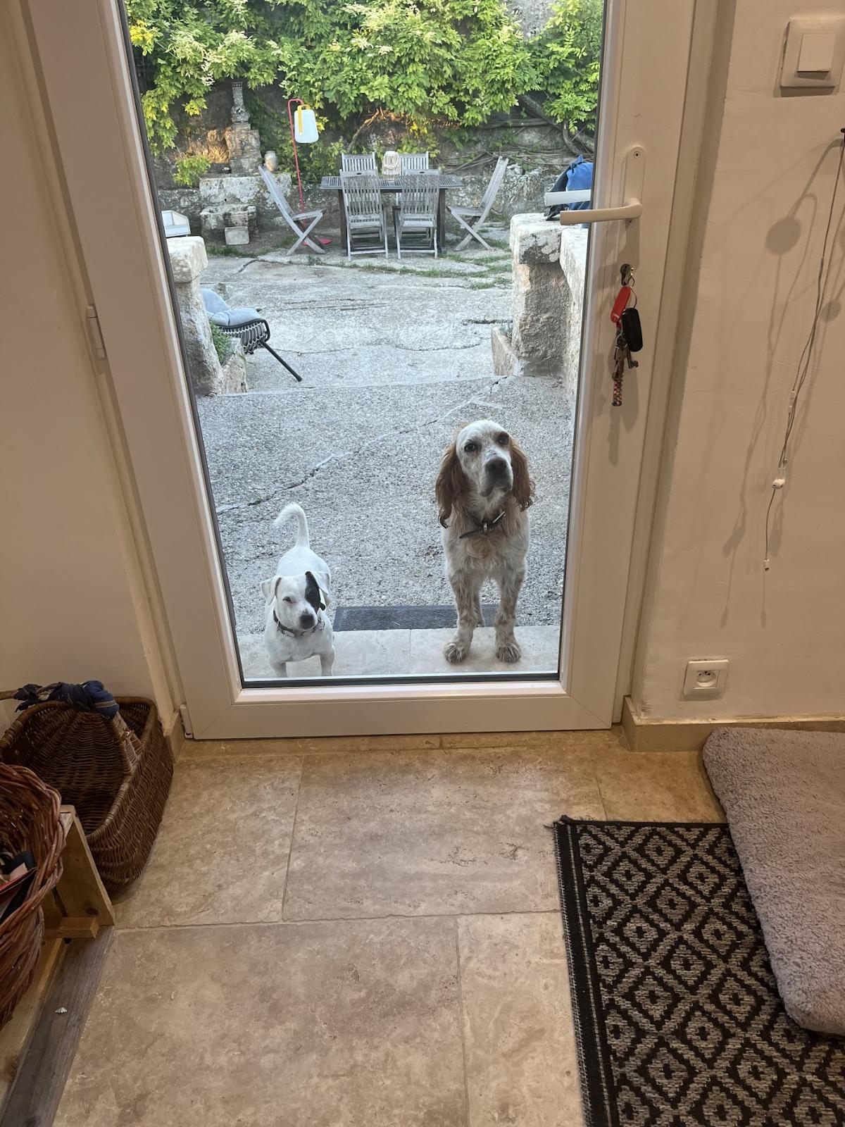 Vétérinaires du Val de Durance