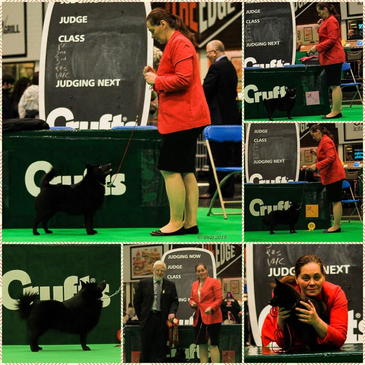 Clinique Vétérinaire du Centre