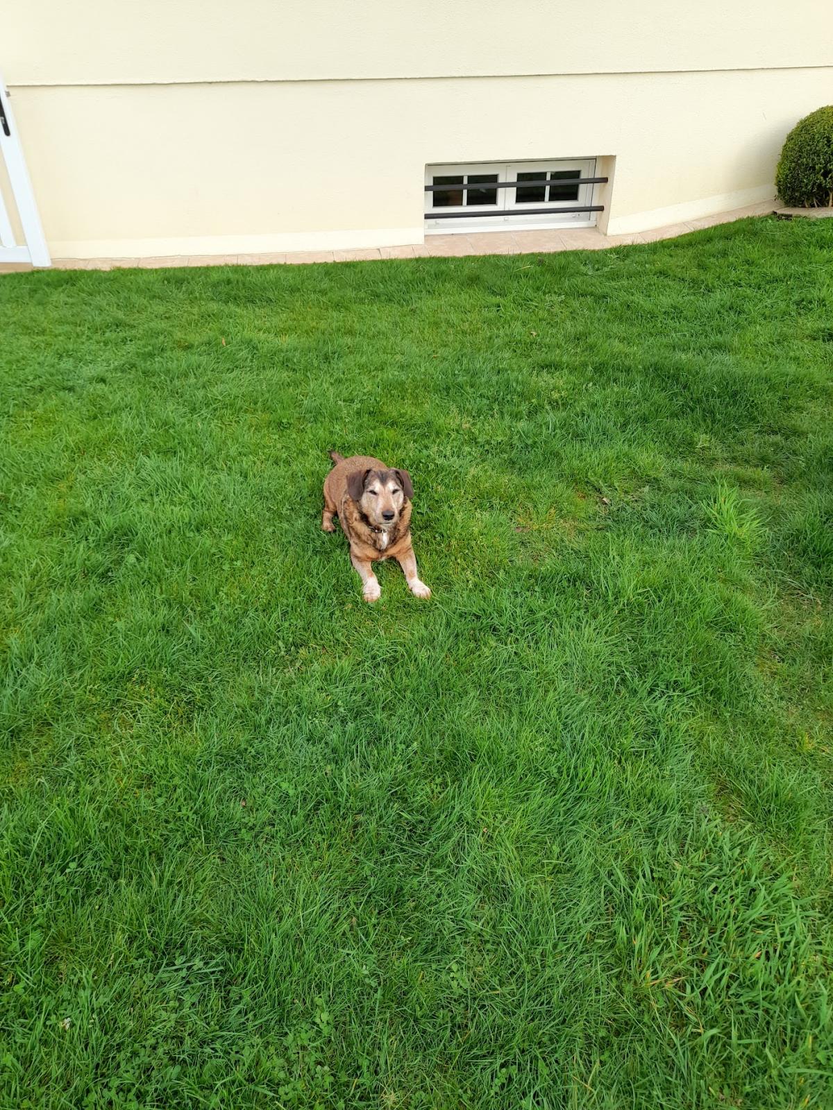 Clinique Vétérinaire Andaine Vet de Bagnoles de l'Orne